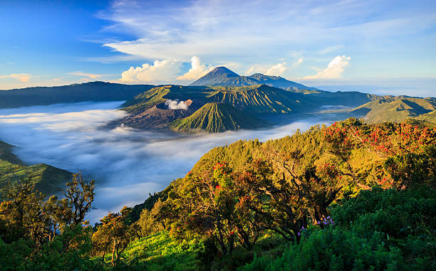 Wisata Pegunungan Dekat Jakarta, Untuk Berlibur Akhir Pekan
